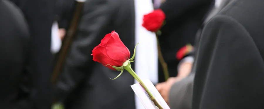 rose-and-black-jacket